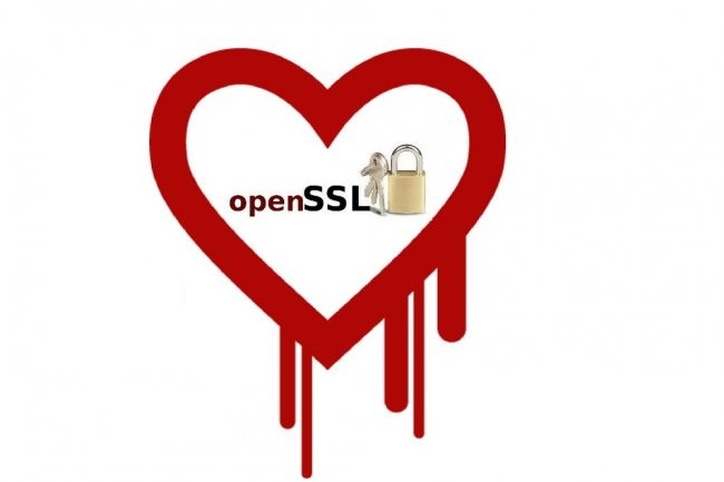 La faille Heartbleed, qui a affecté la bibliothèque de chiffrement Open SSL au printemps dernier, a suscité beaucoup d'échanges pendant la conférence Hot Chips, du 10 au 12 août à Cupertino.