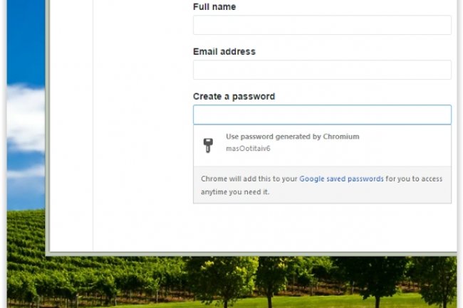 Google a mis  jour son gestionnaire de mots de passe dans la version Canary de son navigateur Chrome. (crdit : D.R.)
