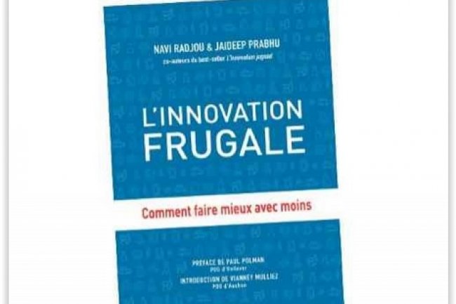 L'innovation frugale : comment faire mieux avec moins, par Navi Radjou et Jaideep Prabhu (Editions Diateino, 378 pages, 24 euros). crdit : D.R.