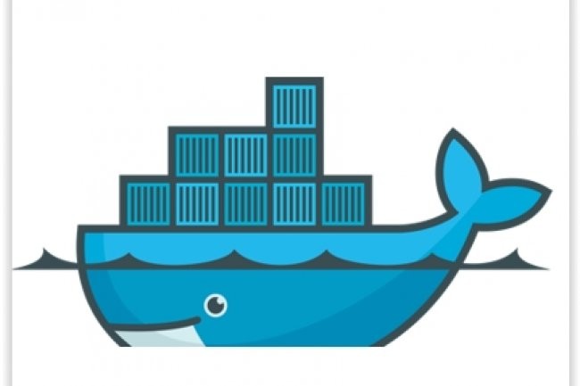 Docker a t tlcharg plus de 300 millions de fois. (crdit : D.R.)