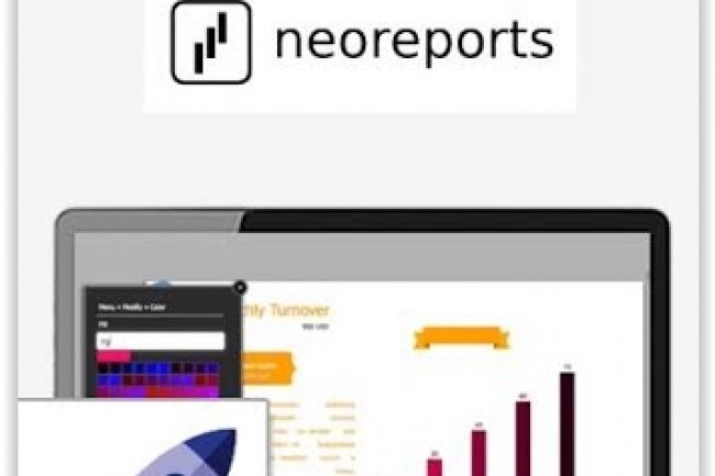 France Entreprise Digital : Dcouvrez aujourd'hui Neoreports