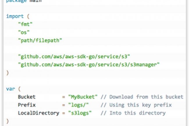 Amazon propose maintenant le SDK du langage Go en version Developer Preview. (crdit : D.R.)