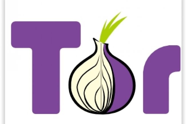 Les techniques de piratage voluent et l'usage des rseaux Internet anonymes comme Tor explose. (crdit : D.R.)