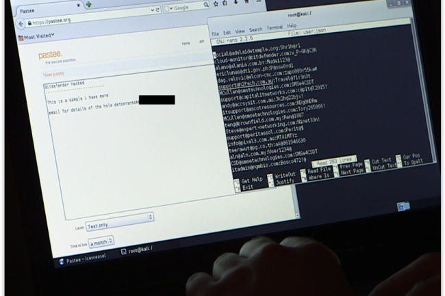 Le pirate de Bitdefender, agissant sous le pseudonyme DetoxRansome, a indiqu  Hacker Film avoir utilis une technique de sniffing pour parvenir  ses fins. (crdit : D.R.)