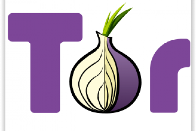 Le réseau mondial d'anonymisation des échanges The Onion Router pense que le FBI est derrière l'attaque dont il a été victime en 2014. (crédit : D.R.)