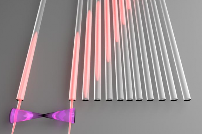 Une découverte de l'université RMIT démontre qu'il est possible de déplacer des qubits sans changer leur état quantique.  (Crédit: Université RMIT)