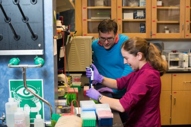 Le professeur associ  l'Universit de Washington Luis Henrique Ceze et la scientifique Lee Organick prparent un ADN contenant de donnes numriques. (crdit : Tara Brown / Universit de Washington)