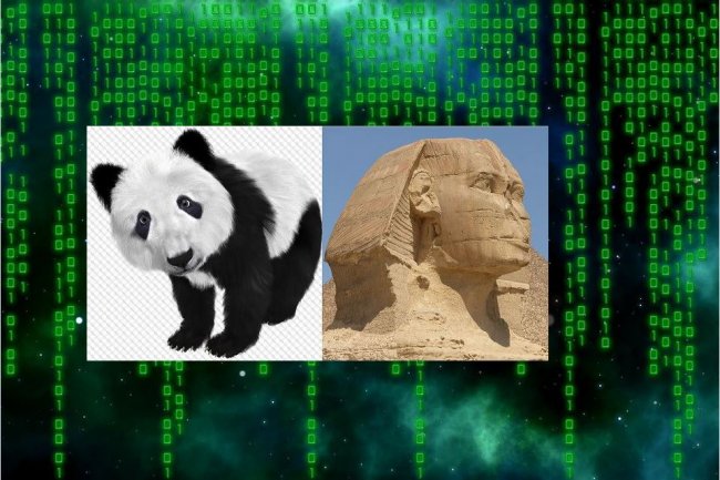 Bass sur le code de Zeus vendu sur le dark web, les malwares Panda et Sphinx semblent avoir trouv des relais locaux pour attaquer les banques brsiliennes. (Pixabay/sipa/lyad/geralt)
