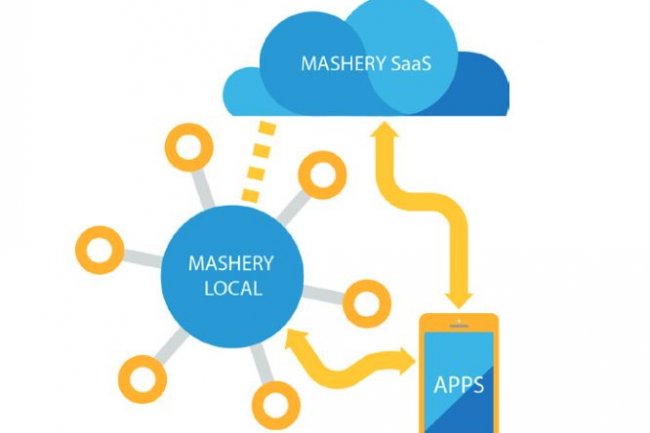 Dans sa version 4.0, la passerelle Mashery Local supporte les d�ploiements en environnement Docker et multi-clouds. (cr�dit : D.R.)