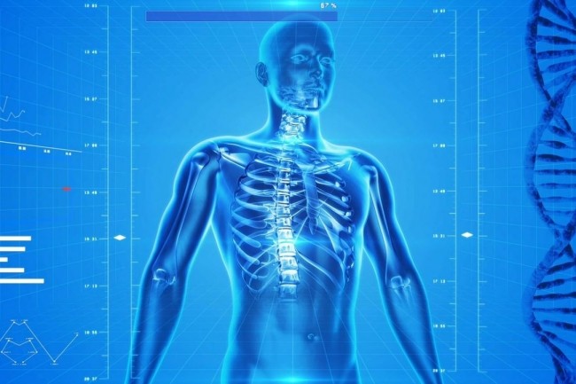 Les chercheurs de l'Universit de Borwn et Intel vont enregistrer les signaux moteurs et sensoriels de la colonne vertbrale et utiliser les rseaux neuronaux artificiels pour apprendre comment simuler des communications et commandes post-traumatiques. (crdit : PublicDomainPictures / Pixaby)