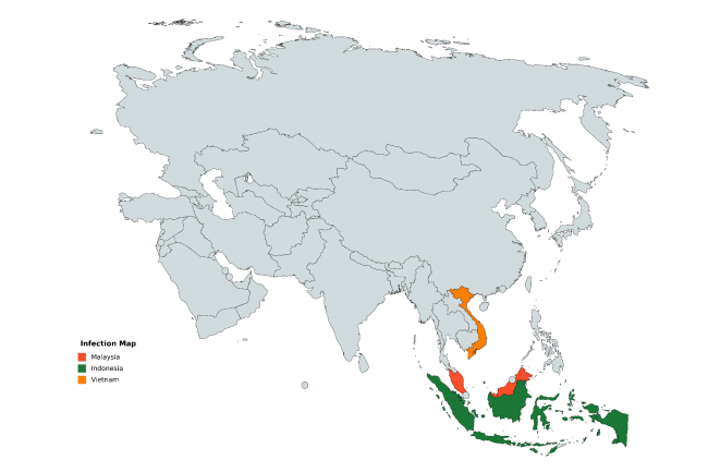 Les chercheurs de Kaspersky, n’ont, pour le moment, relevé une activité de Titanium que dans trois pays d’Asie : en Indonésie, en Malaisie et au Vietnam. (Crédit : Kaspersky)