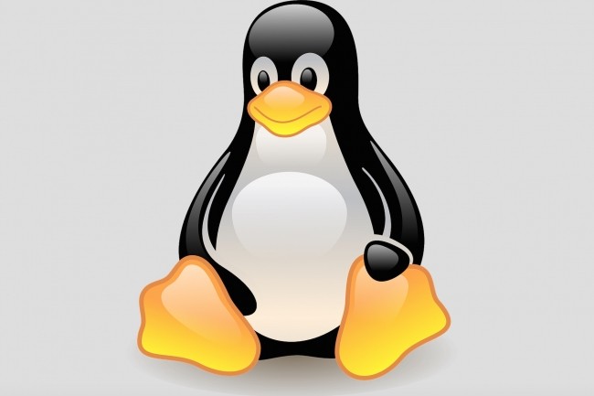 Linus Torvalds reste en tte des contributeurs les plusprolifiques aukernel Linuxavec 28 815 commits l'an dernier.(Crdit : Linux.org)