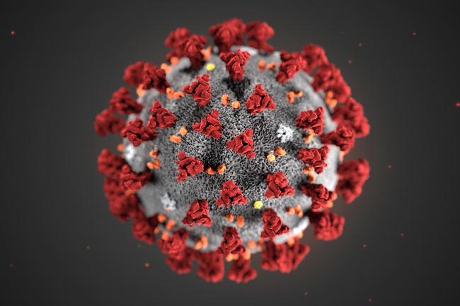 Une initiative de l'Universit de Stanford demande de partager les ressources inutilises des PC pour travailler sur des projets de recherche sur le coronavirus. (Crdit Photo : Alissa Eckert, MS; Dan Higgins, MAM)