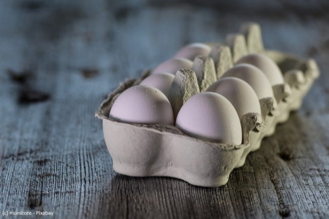 La blockchain de la plateforme IBM Food Trust permet au groupe Avril d’apporter de la transparence aux consommateurs de ses gammes d’œufs Matines.