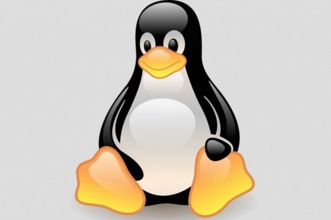 Le principal apport de Linux 5.11 concerne des fichiers de description sur les GPU AMD. (Crédit : Pixabay/Clker-Free-Vector-Images)