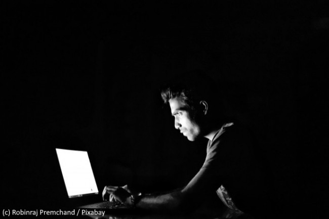 La cyberfraude est encore en plein essor. (Crédit : Pixabay/Robinraj Premchand)
