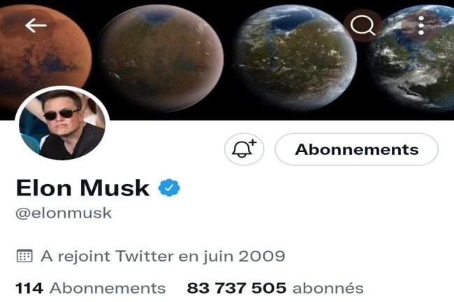Le milliardaire Elon Musk a réussi à imposer son offre de rachat au conseil d'administration de Twitter. (Crédit Photo: DR)