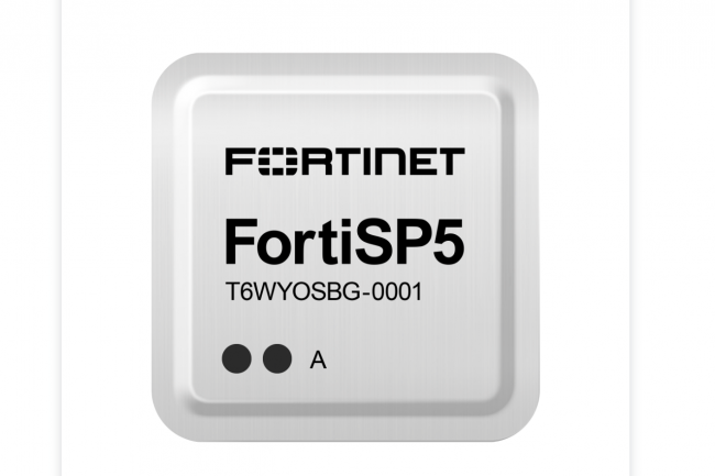 Avec son ASIC FortiSP5, Fortinet renforce les capacités de traitements de ses équipements de sécurité, notamment pour le traitements des flux chiffrés. (Crédit Fortinet)