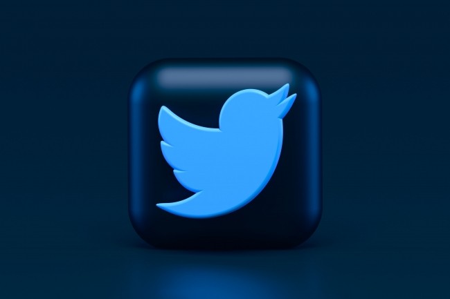 Avec moins de 2 000 employés, Twitter peut-il encore tenir debout ? (Crédit : Alexander Shatov, Unsplash)