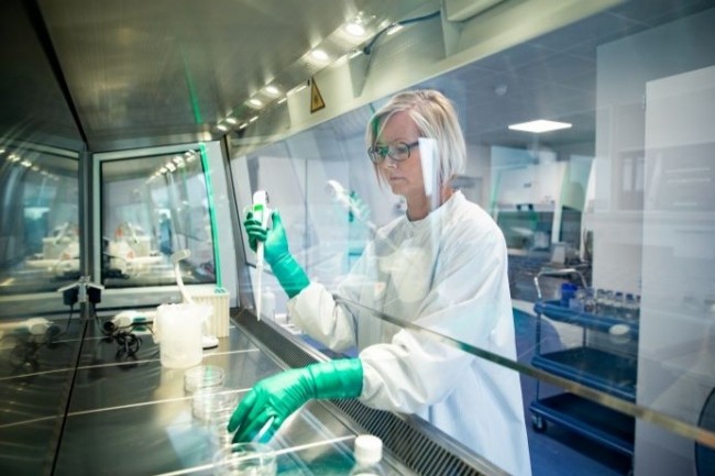 Un site de Novo Nordisk au Danemark. 50% de linsuline dans le monde est produit par le laboratoire, galement spcialis dans le traitement des maladies chroniques graves. (Photo : D.R.)