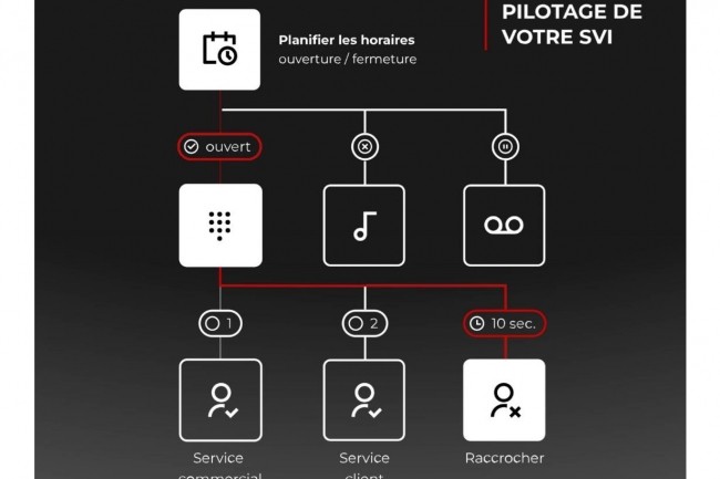 La premire offre de communications unifies de Free Pro vise les TPE avec un maximum de 10 licences. (crdit : Free Pro)