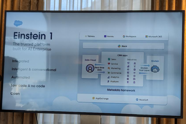 Enstein 1 est au coeur de la stratgie de Salesforce pour exploiter plus efficacement avec l'IA le patrimoine de donnes d'une entreprise. (crdit : D.F.)