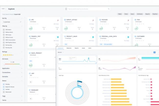 Les fonctions d'observabilit et qualit des donnes de erwin Data Intelligence 14 de Quest Software apportent une exprience de recherche et de filtrage similaire  celle des sites e-commerce promet l'diteur. (crdit : Quest Software)