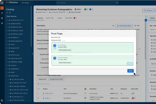 Alation et Salesforce se rapprochent pour assurer la gouvernance des donnes dans Data Cloud. (Crdit Alation)