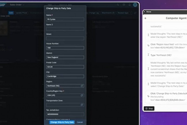 Nova peut servir  crer des agents servant  modifier par exemple automatiquement des champs dans des applications de gestion  partir de prompts. (crdit : Amazon)