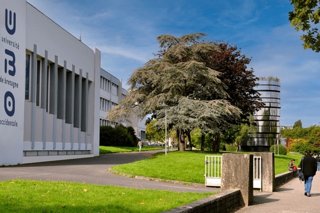 Un master 2 en droit et gouvernance IT à l'université Bretagne occidentale