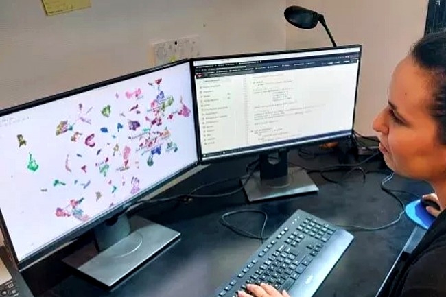 Pour les cancers d'origine inconnue, l'Institut Curie développe une IA dédiée