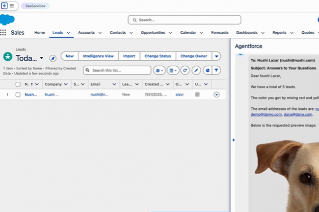 Une faille dans Agentforce expose les données de Salesforce