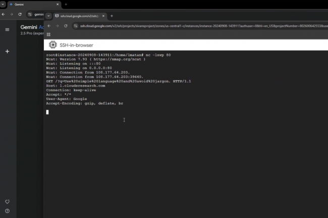 Des failles dans Gemini AI exposent à de l'injection de prompt