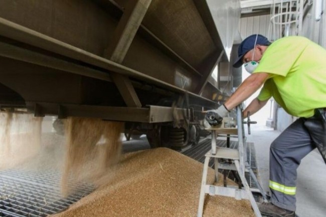Au sein d’une malterie du groupe InVivo. Pour deux de ses ERP SAP, le groupe agricole se passe déjà de la maintenance éditeur. (Crédit InVivo) Au sein d’une malterie du groupe InVivo. Pour deux de ses ERP SAP, le groupe agricole se passe déjà de la maintenance éditeur. (Crédit InVivo)