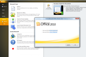 Microsoft proposera une bta d'Office 2010 en novembre