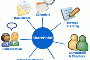 Trois usages de SharePoint 2010 chez Sony Electronics
