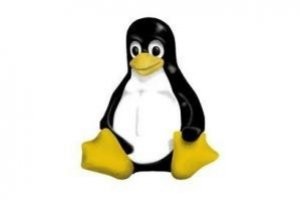 Linux a ft son 19me anniversaire