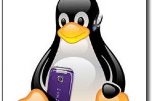 Les acteurs du mobile s'intressent activement  Linux