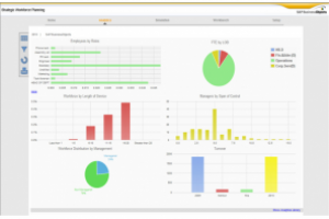 SAP lance HANA, sa solution d'analyse haute performance