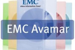 Avamar 6.0 se marie un peu plus avec Data Domain