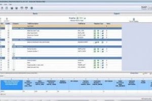 Winshuttle ajoute un add-on de SharePoint  ses outils de saisie dans SAP