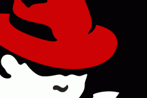 Red Hat booste les fonctions de stockage de RHEL 6.2