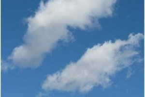 L'adoption du cloud entrav�e en Europe, selon Gartner