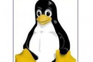 Microsoft propose des VM Linux sur son cloud Azure