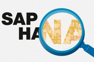 La Suisse se dote du premier SAP HANA Lab