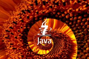 La faille de Java 7 exploit�e par des attaques bas�es sur Blackhole