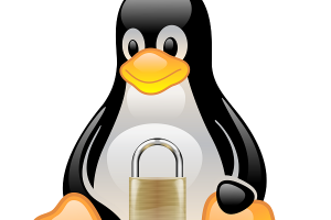 Les serveurs Linux vulnrables  des attaques par contournement d'iFrame