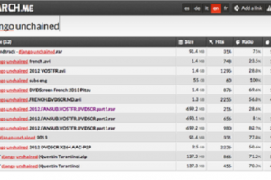 Dj 150 violations de copyright sur Mega