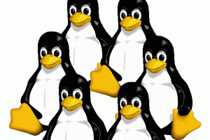 Les entreprises peinent  recruter des experts de Linux