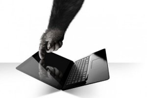 Corning place son verre Gorilla sur les PC portables  cran tactile